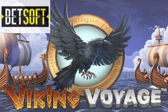 Viking Voyage